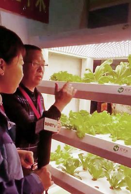 2018内蒙古国际农博会,亿平米水培蔬菜成亮点
